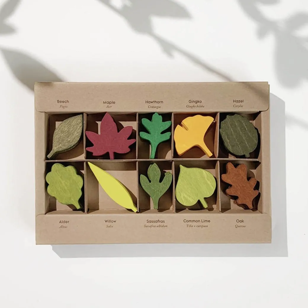 Woodland Leaves